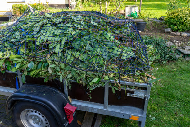 Best Recycling Services for Junk  in Vernon Valley, NJ